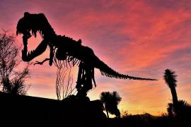 La silueta de un dinosaurio se recorta contra el cielo mientras el sol cae sobre Saltillo.
