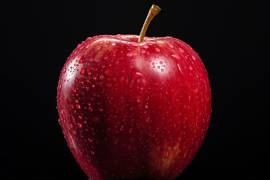 La manzana: fruto de la tentación, la poesía y la eternidad humana.