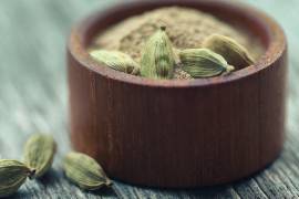 Plantas, especias y bebidas han acompañado al ser humano, desde la antigüedad, como símbolos de deseo, placer y conexión cultural.