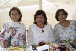 Marusanta Peña de Cotti, Elsa María Meneses y Charis Oyervides de Villalobos.