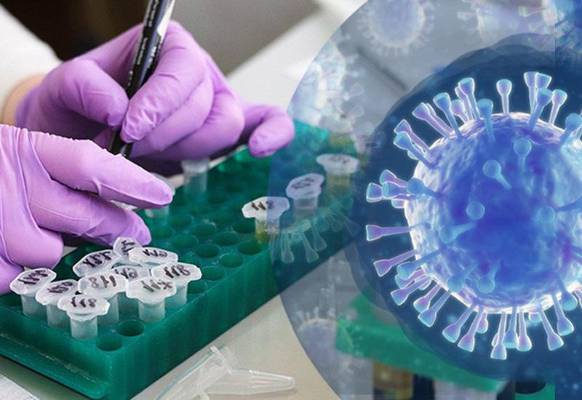 LA CIENCIA DE EMPRENDER