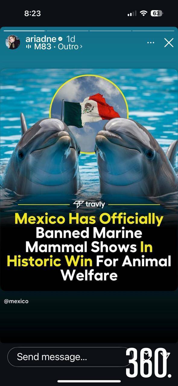$!Espectáculos con delfines.