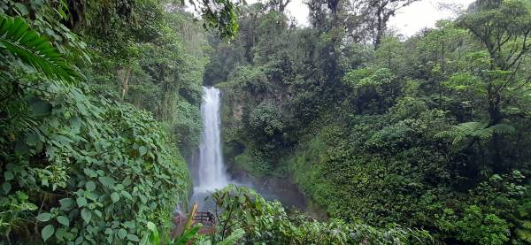 COSTA RICA: TIERRA TROPICAL