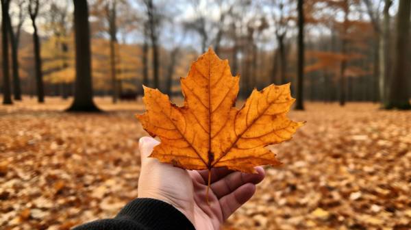 EL OTOÑO