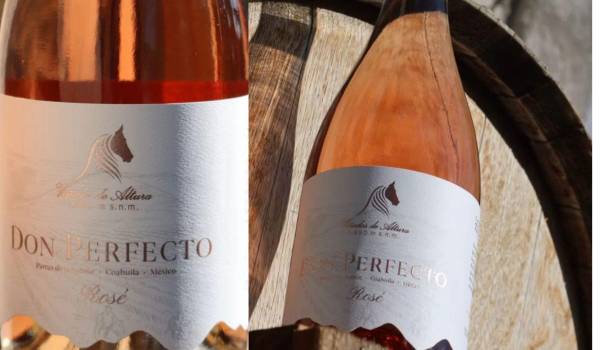 El sommelier moderno combina técnica, historia y hospitalidad para transformar cada copa de vino en una experiencia.