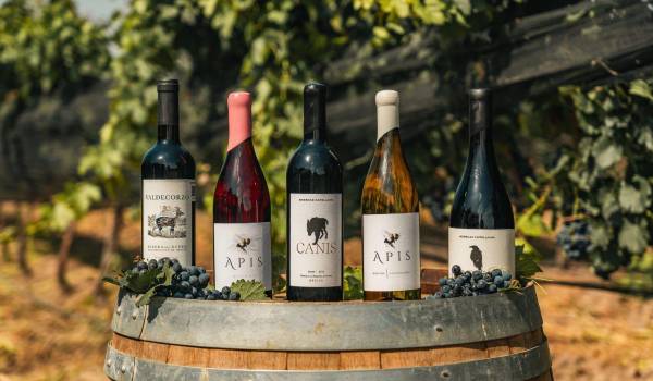 Apis, de Bodegas Capellanía: una expresión contemporánea que honra la tradición y el carácter profundo del vino.