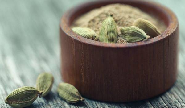 Plantas, especias y bebidas han acompañado al ser humano, desde la antigüedad, como símbolos de deseo, placer y conexión cultural.