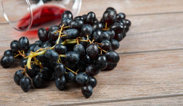 Uvas en primer plano y, al fondo, una copa de vino tinto evocan el origen y la tradición de esta bebida milenaria.