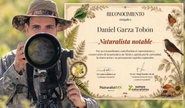 Daniel Garza Tobón.
