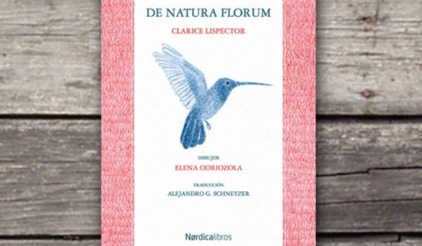 La prosa de Clarice Lispector en “De Natura Florum” convierte cada flor en un universo de aromas, sabores y emociones que seducen al lector.
