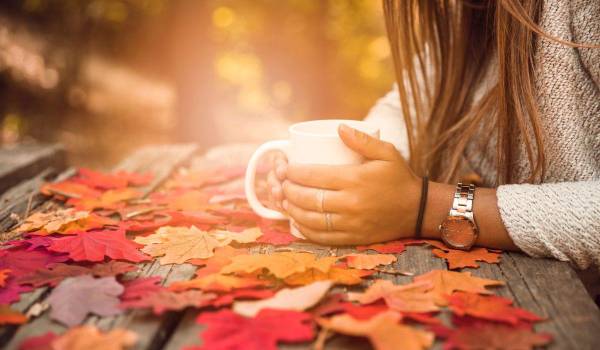El otoño nos inspira a soltar, reflexionar y renovarnos, recordándonos que cada cambio es una oportunidad para empezar de nuevo.