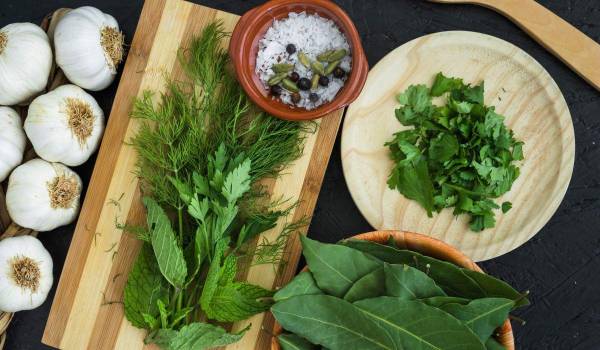 Albahaca, tomillo, menta y mejorana: hierbas que no solo dan sabor, también guardan memoria, cultura y palabras.