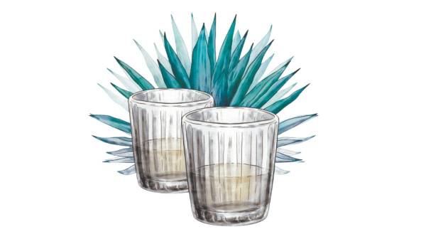 ¿GUSTA UN SOTOL O UN MEZCAL?