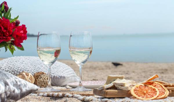 Un vino bien elegido puede transformar cualquier comida de vacaciones, desde un ceviche frente al mar hasta una carne asada en familia.