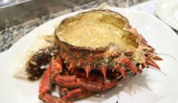 Entre páginas y antojos, la literatura también despierta el apetito.