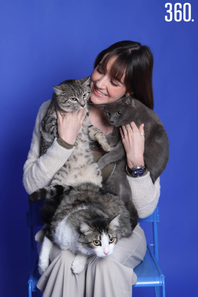 $!¡FELIZ DÍA A TODOS LOS GATITOS!