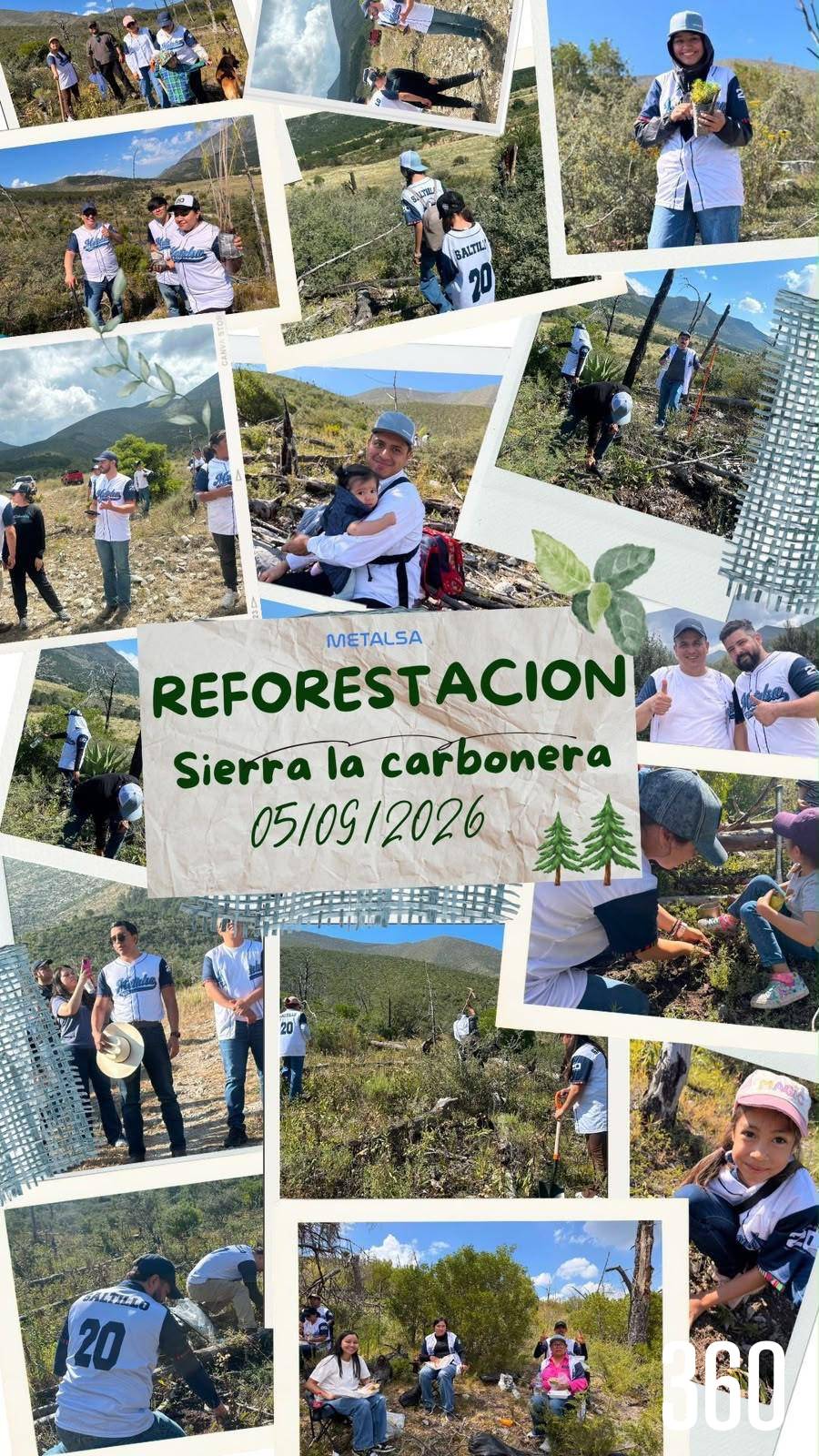 $!Jornada de reforestación Metalsa Planta Saltillo.
