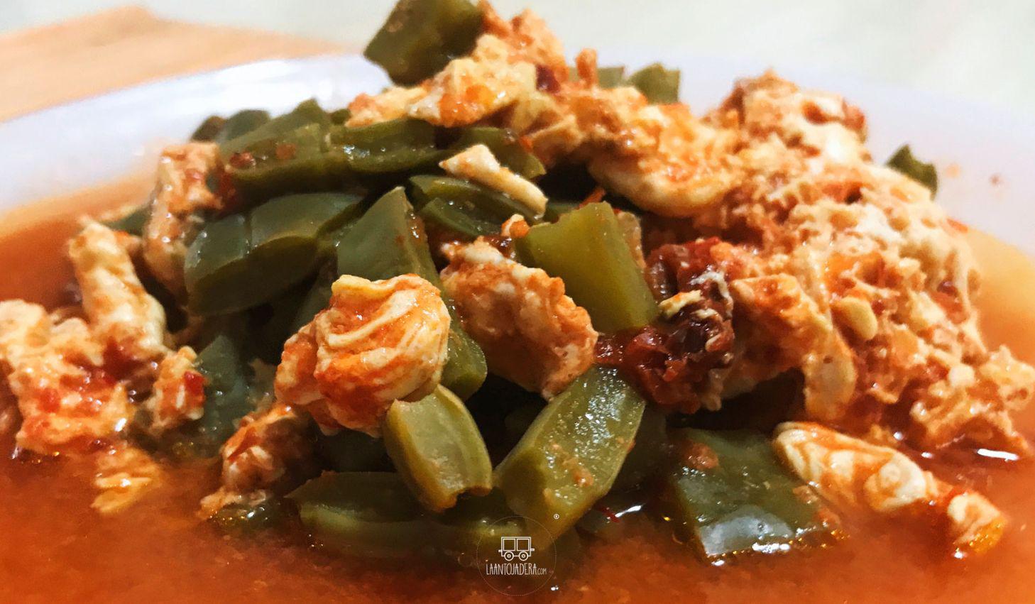 El nopal, herencia milenaria de México, alimento y remedio que atraviesa siglos de historia y tradición.